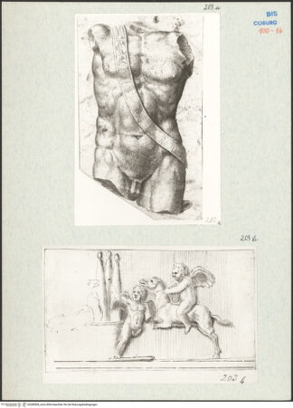 Vorderseite von bh288508_recto