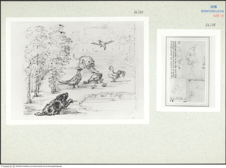 Vorderseite von bh288555_bh288556_recto