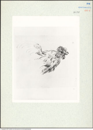 Vorderseite von bh288599_recto