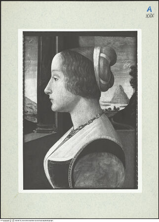 Vorderseite von bh288742_recto