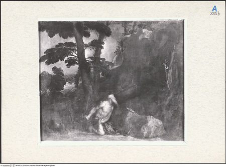 Vorderseite von bh288754_recto