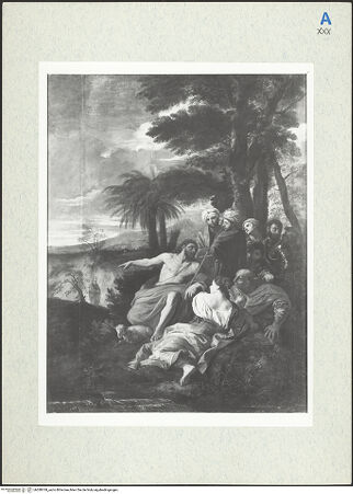 Vorderseite von bh288769_recto