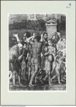 Vorderseite von bh288781_recto