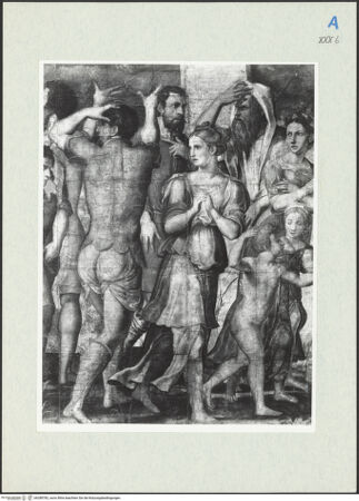 Vorderseite von bh288782_recto