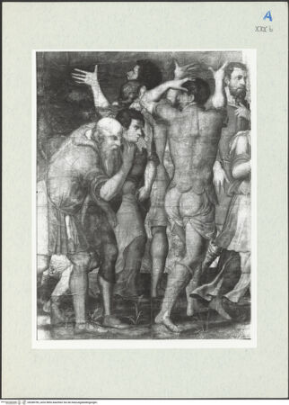 Vorderseite von bh288785_recto