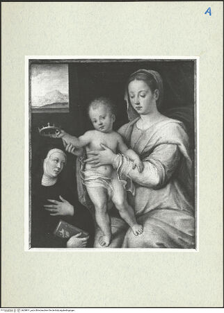 Vorderseite von bh288811_recto