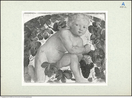 Vorderseite von bh288822_recto