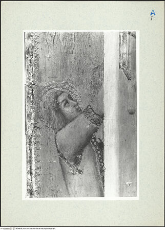 Vorderseite von bh288830_recto