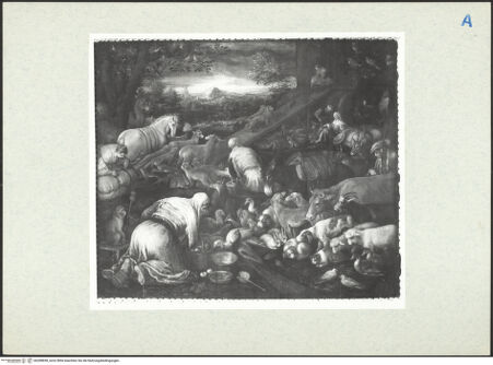 Vorderseite von bh288838_recto