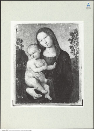 Vorderseite von bh288913_recto