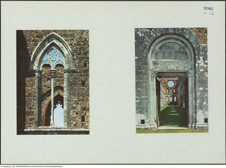 Vorderseite von bh289262_bh289263_recto