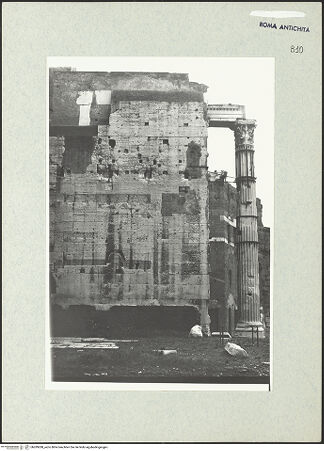 Vorderseite von bh289288_recto