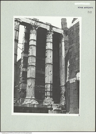 Vorderseite von bh289293_recto