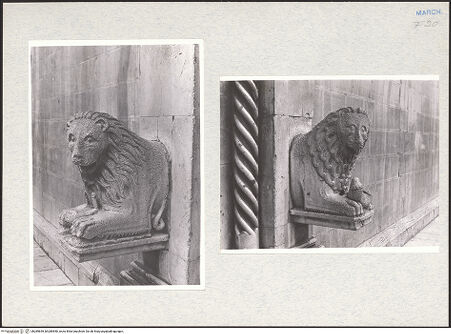 Vorderseite von bh289849_bh289850_recto