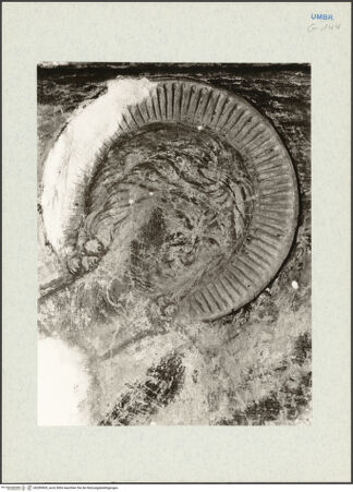 Vorderseite von bh289909_recto