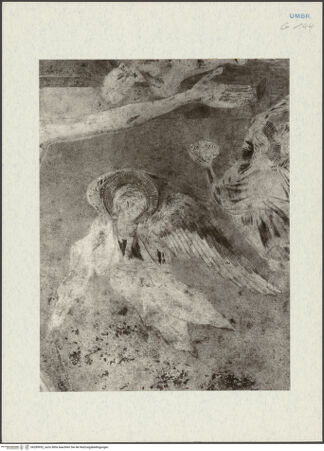 Vorderseite von bh289952_recto