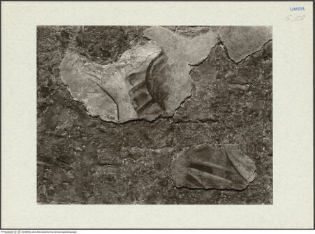 Vorderseite von bh289956_recto