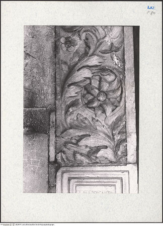 Vorderseite von bh290191_recto