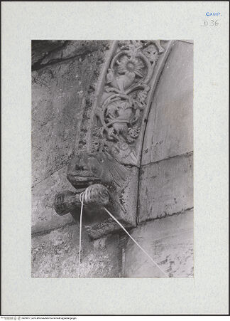 Vorderseite von Glass, Dorothy [https://www.deutsche-digitale-bibliothek.de/content/lizenzen/rv-ez/] Rechtes Nebenportal - Archivolte, Detail: linke Seite, bh290217_recto. Foto: Glass, Dorothy.