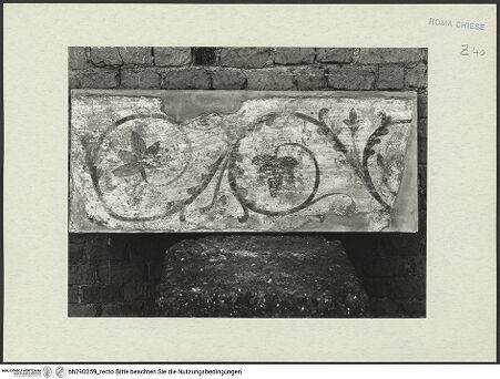 Vorderseite von Istituto Nazionale per la Grafica [https://www.deutsche-digitale-bibliothek.de/content/lizenzen/rv-ez/] Fresken - Schmales Fragment mit Ranken auf weißem Grund, bh290259_recto. Foto.