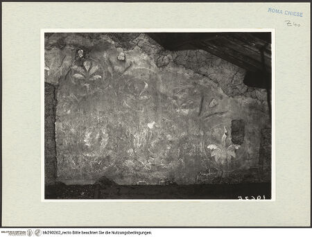 Vorderseite von Istituto Nazionale per la Grafica [https://www.deutsche-digitale-bibliothek.de/content/lizenzen/rv-ez/] Fresken - Rankenornament, bh290262_recto. Foto.