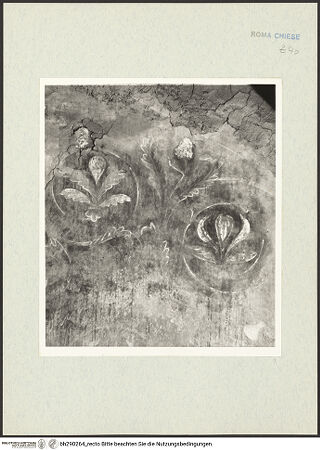 Vorderseite von Istituto Nazionale per la Grafica [https://www.deutsche-digitale-bibliothek.de/content/lizenzen/rv-ez/] Fresken - Rankenornament, bh290264_recto. Foto.