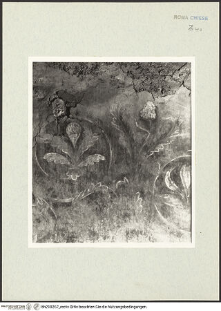 Vorderseite von Istituto Nazionale per la Grafica [https://www.deutsche-digitale-bibliothek.de/content/lizenzen/rv-ez/] Fresken - Rankenornament, bh290267_recto. Foto.