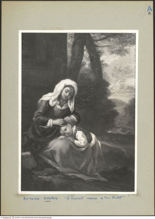 Vorderseite von bh290477_recto