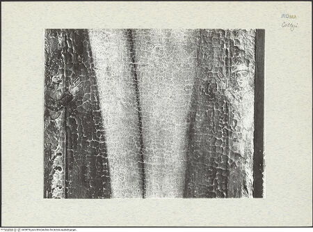 Vorderseite von ICCD [https://www.deutsche-digitale-bibliothek.de/content/lizenzen/rv-ez/] Kruzifix - Detail; nach der Restaurierung, bh290706_recto. Foto.