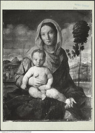 Vorderseite von bh291046_recto