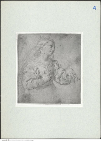 Vorderseite von bh291435_recto