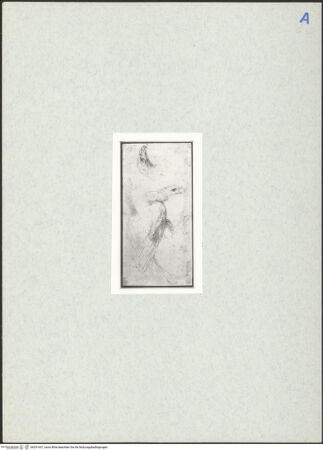 Vorderseite von bh291437_recto