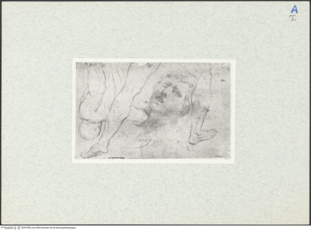 Vorderseite von bh291458_recto