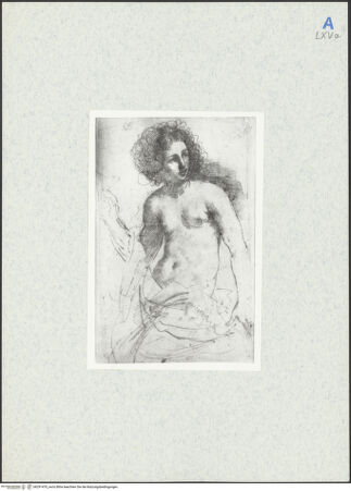 Vorderseite von bh291470_recto