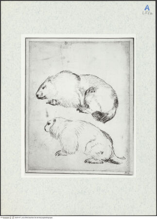 Vorderseite von bh291471_recto