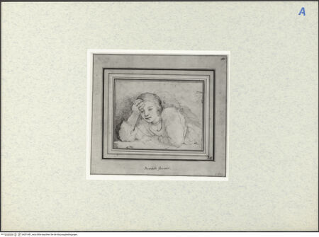 Vorderseite von bh291481_recto