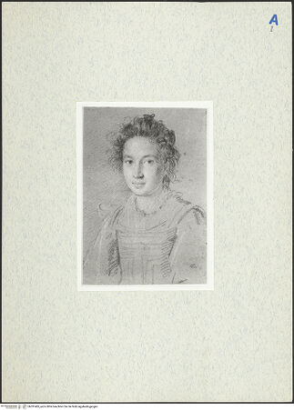 Vorderseite von bh291485_recto