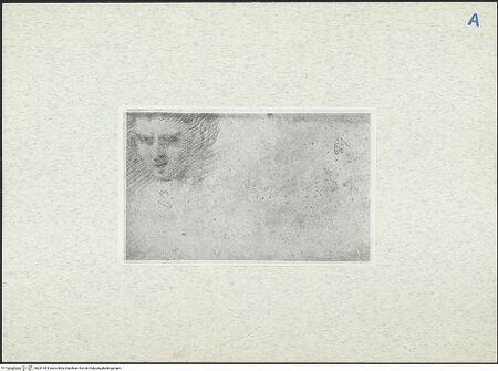 Vorderseite von bh291494_recto