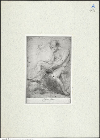 Vorderseite von bh291496_recto