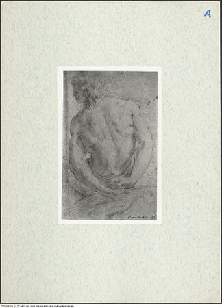 Vorderseite von bh291497_recto