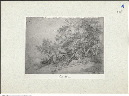 Vorderseite von bh291499_recto