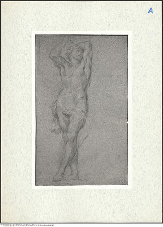 Vorderseite von bh291507_recto