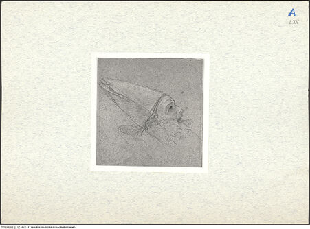 Vorderseite von bh291511_recto