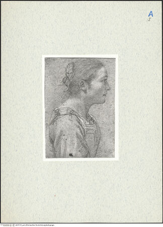 Vorderseite von bh291512_recto