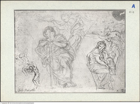 Vorderseite von bh291524_recto