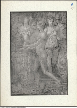 Vorderseite von bh291534_recto