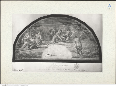 Vorderseite von bh291543_recto