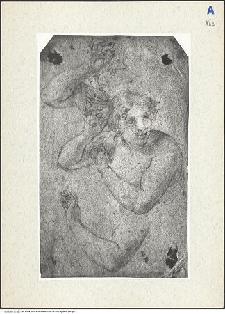 Vorderseite von bh291554_recto