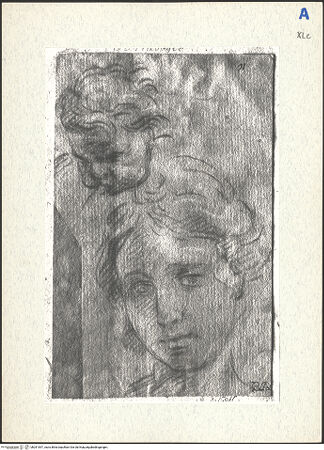 Vorderseite von bh291557_recto