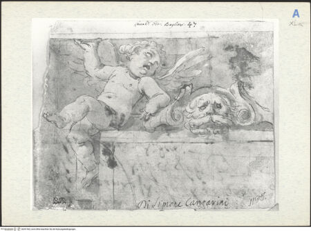 Vorderseite von bh291562_recto